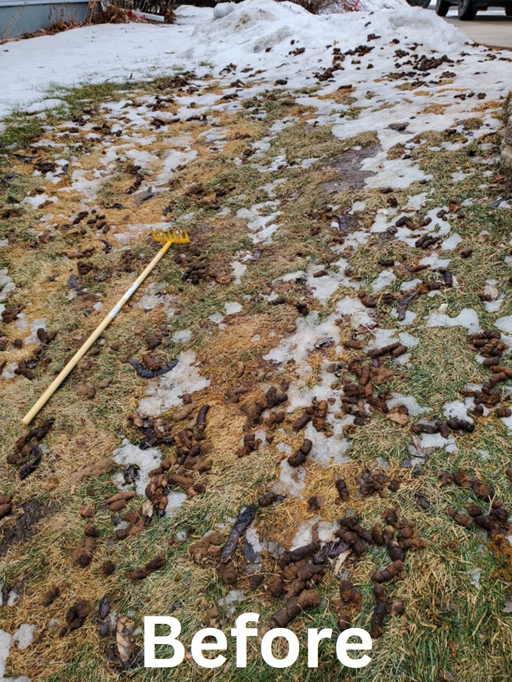 Poopah Scoopah - Photo 3