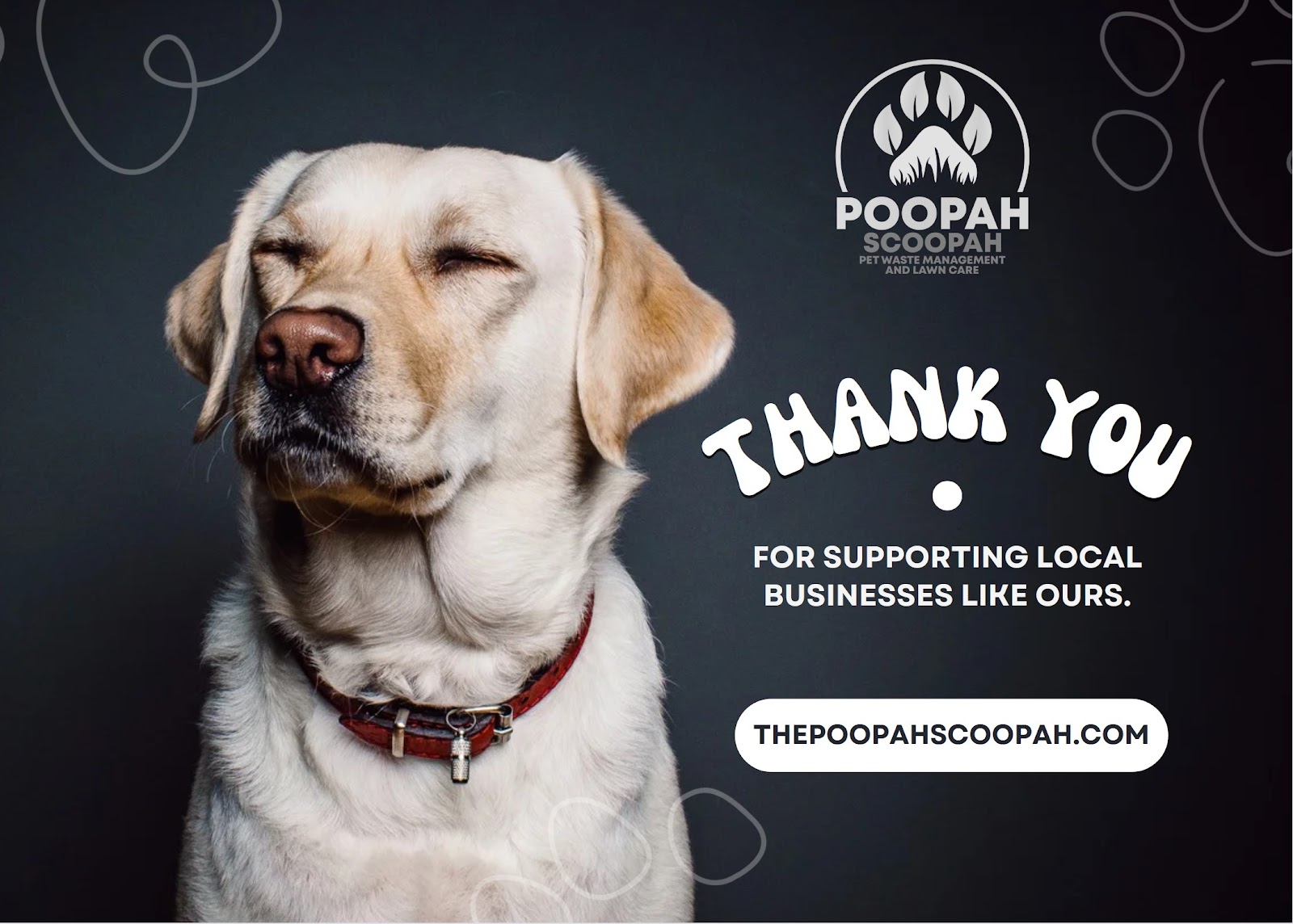 Poopah Scoopah - Photo 4