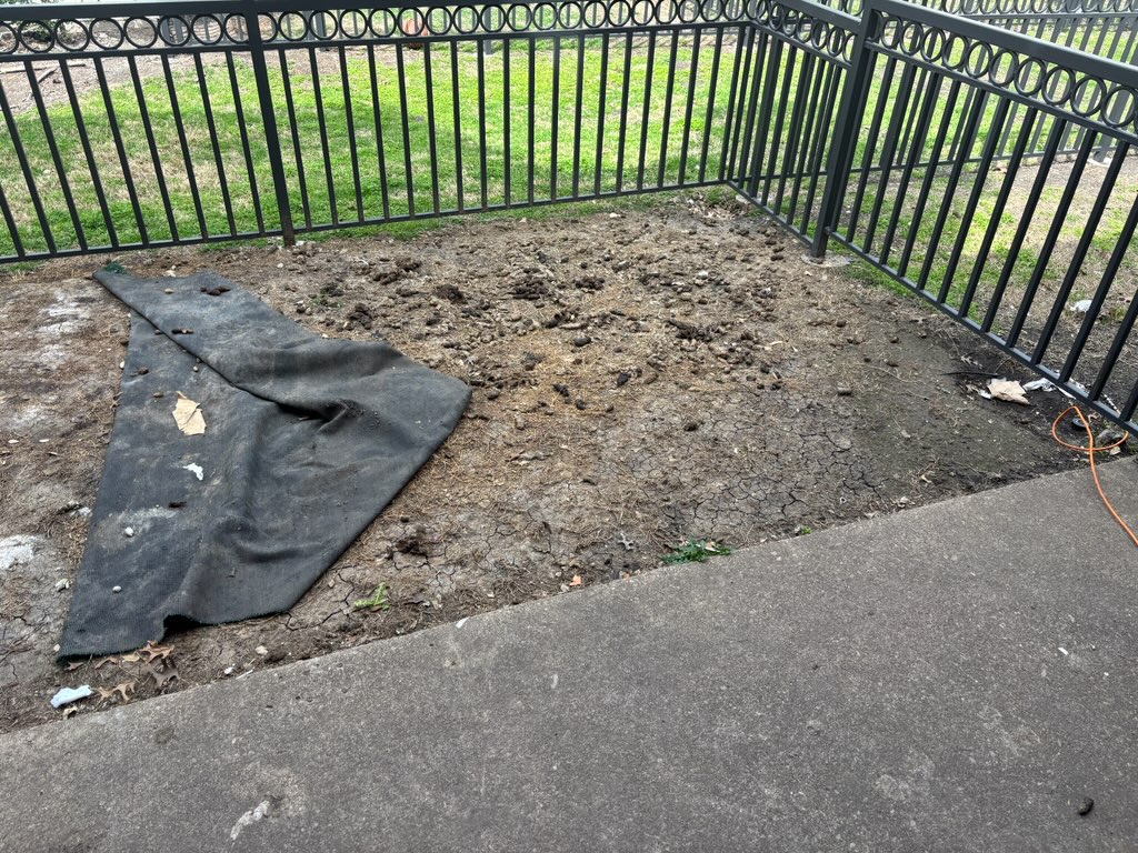 Star Scooping Pet Waste Removal - Photo 2