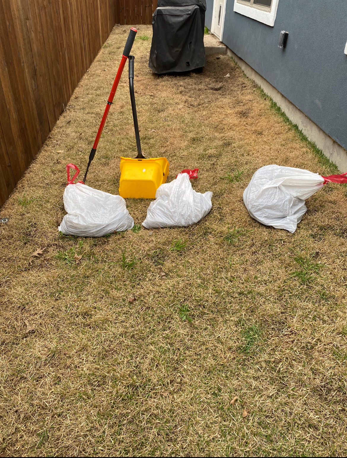 Star Scooping Pet Waste Removal - Photo 3