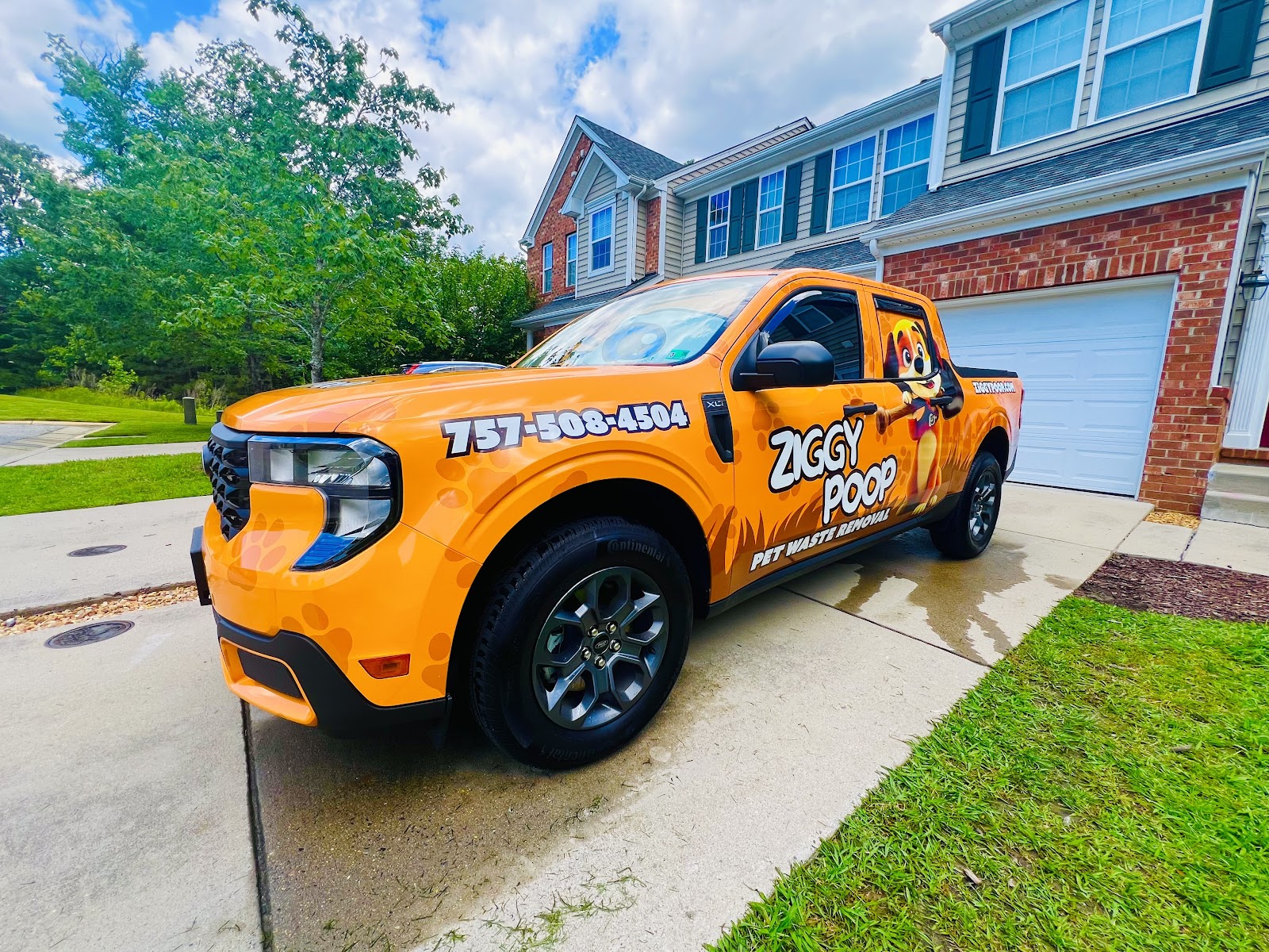 Ziggy Poop - Photo 2