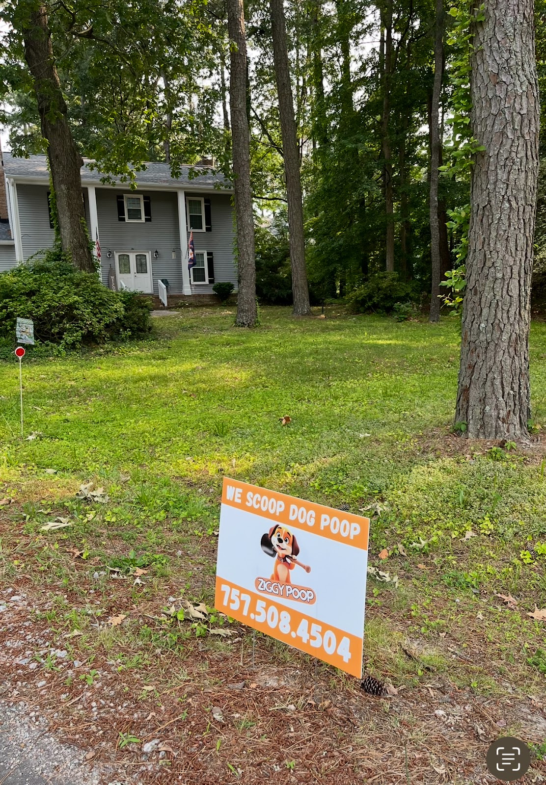 Ziggy Poop - Photo 4