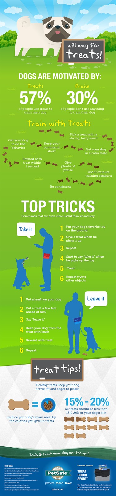 Dog Waste Management LLC - Photo 3