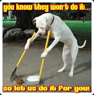 scooper league - Photo 2