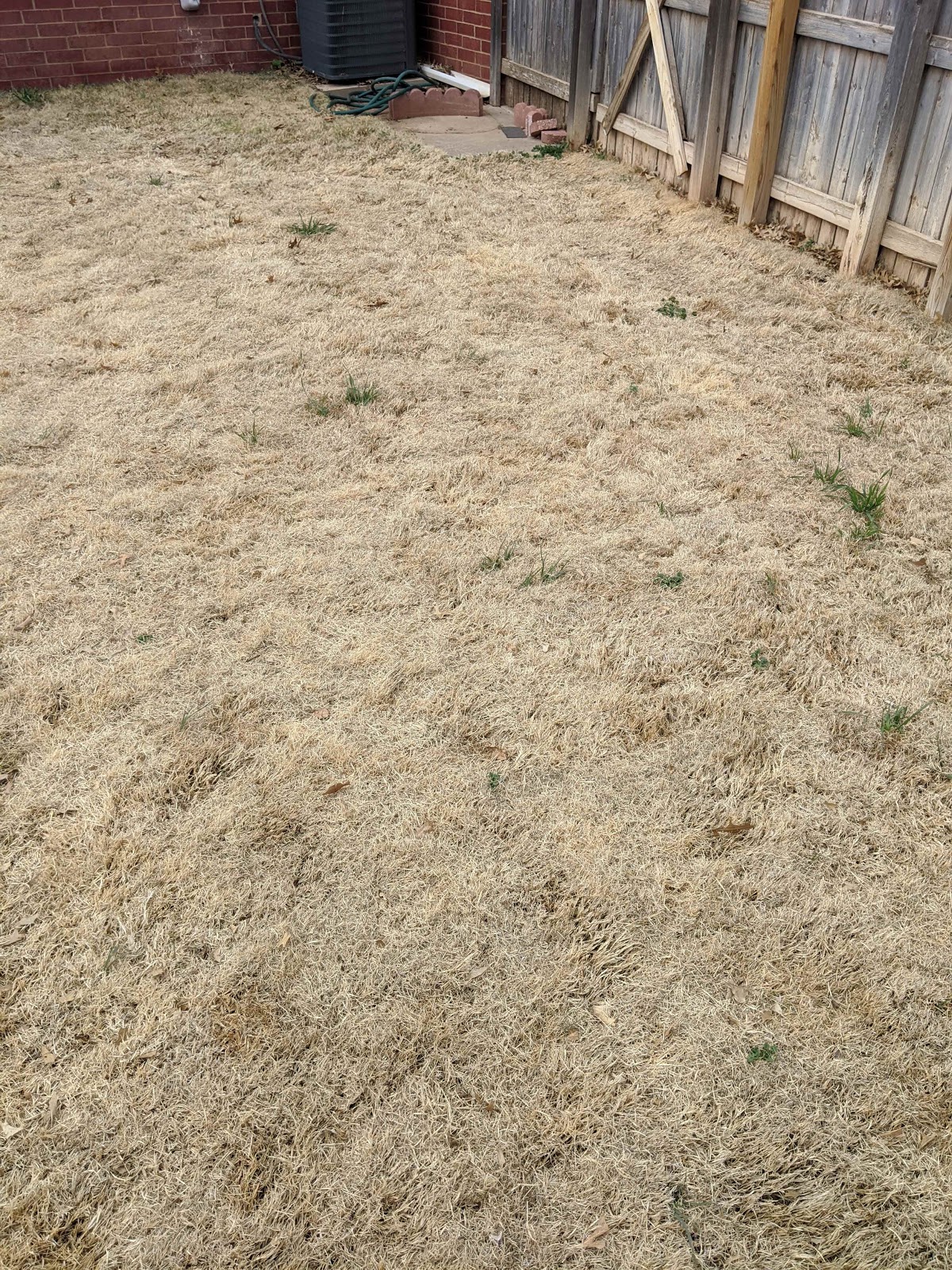 PoopNinjas - Photo 2