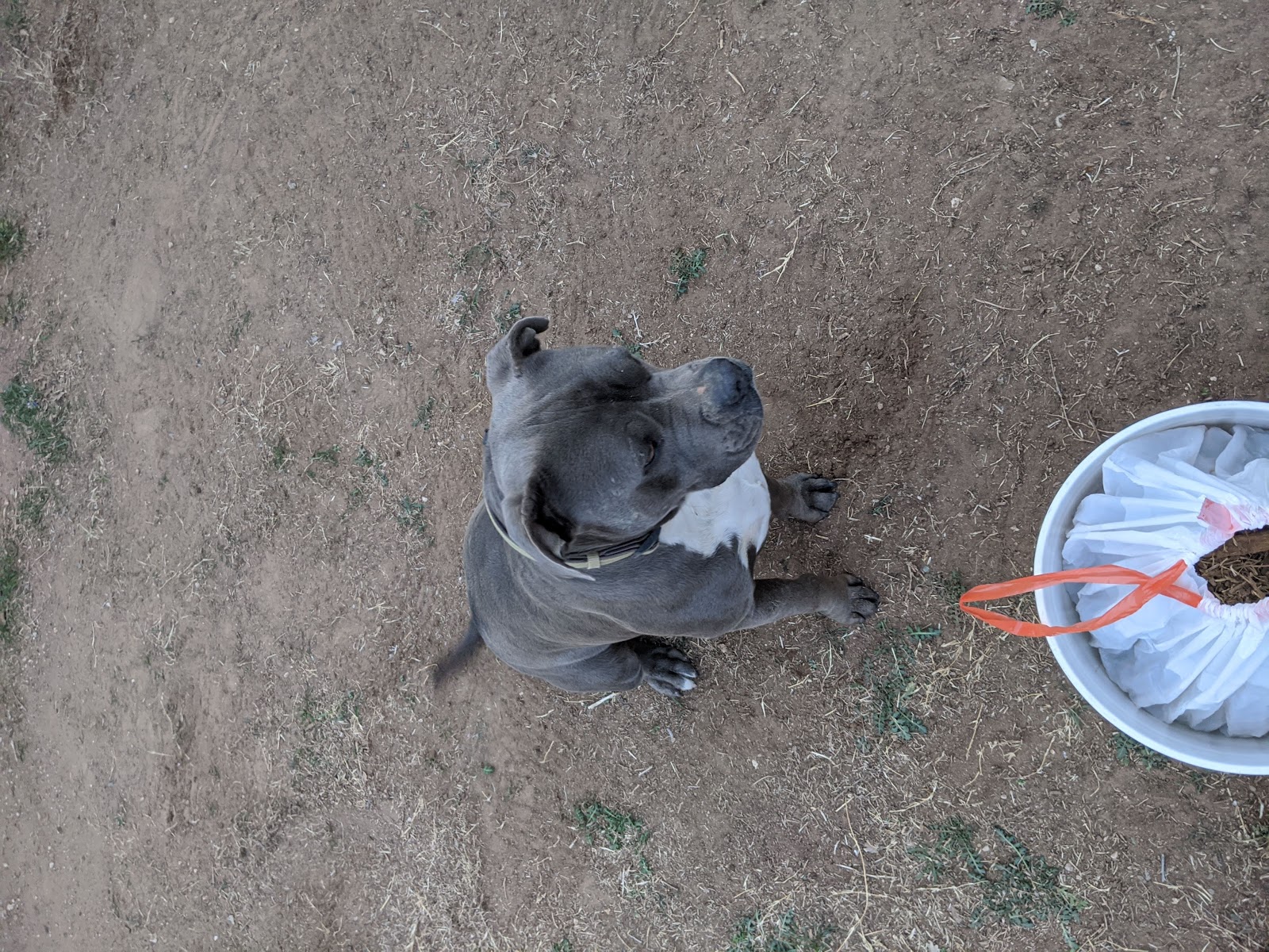 PoopNinjas - Photo 4