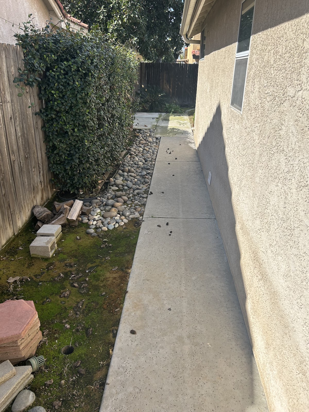 Poopa Scoopas - Photo 2