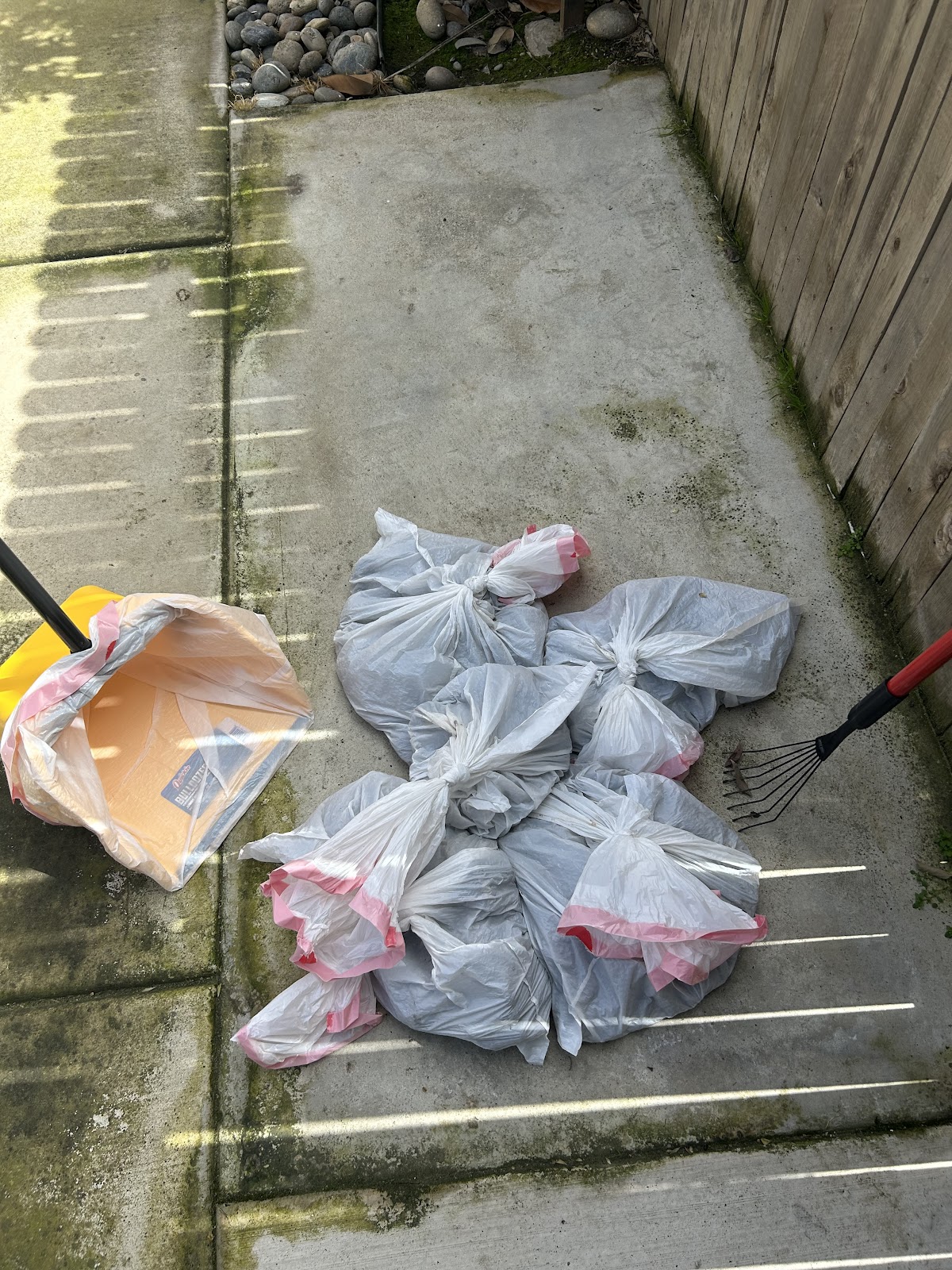 Poopa Scoopas - Photo 3