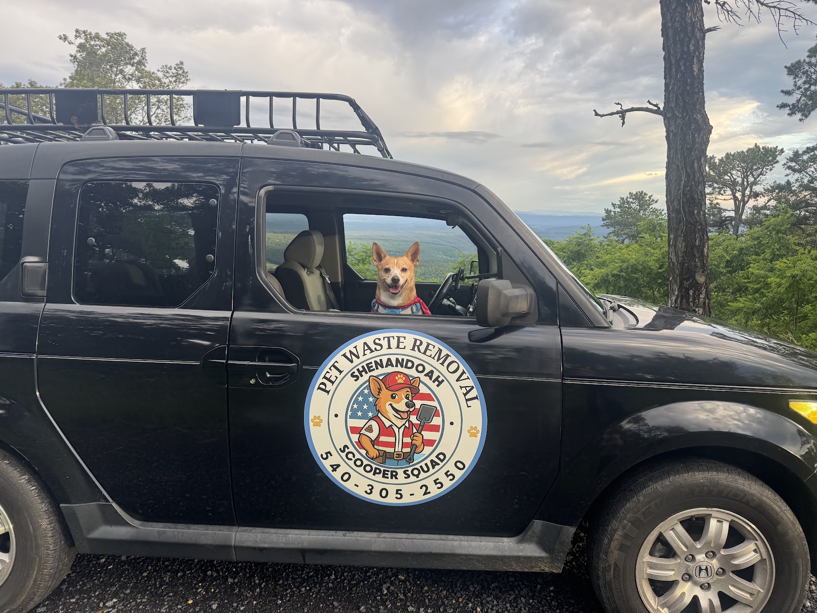 Shenandoah Scooper Squad