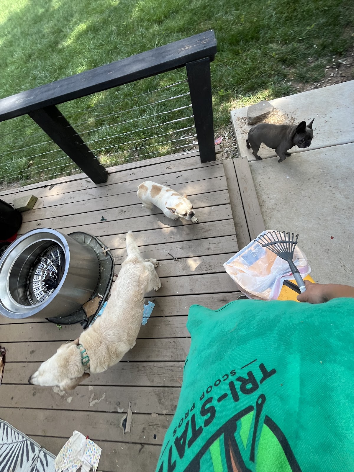 Tri-State Scoop Pros - Photo 4