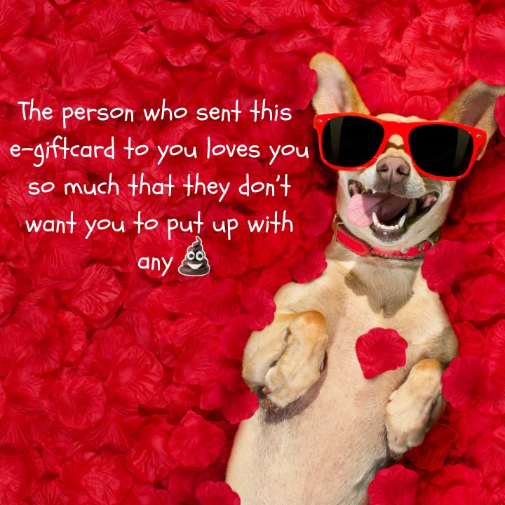 Doggie Doodies Dog Waste Removal Service - Photo 4