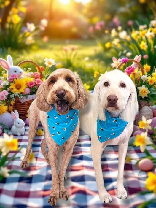 Poop-Scoopers.com - Photo 2