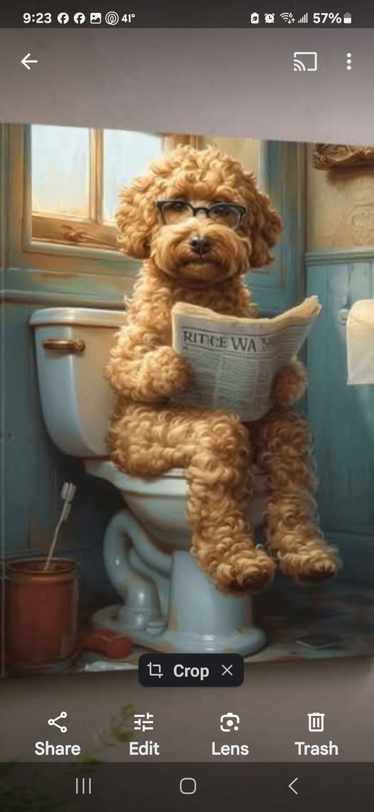 Poop-Scoopers.com - Photo 4