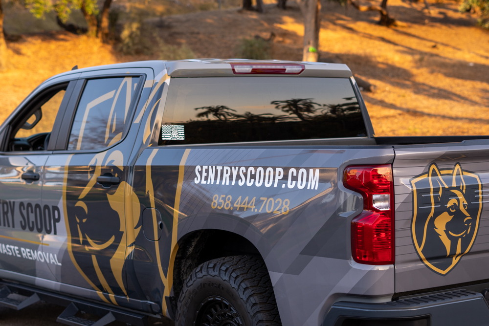 Sentry Scoop - Photo 3