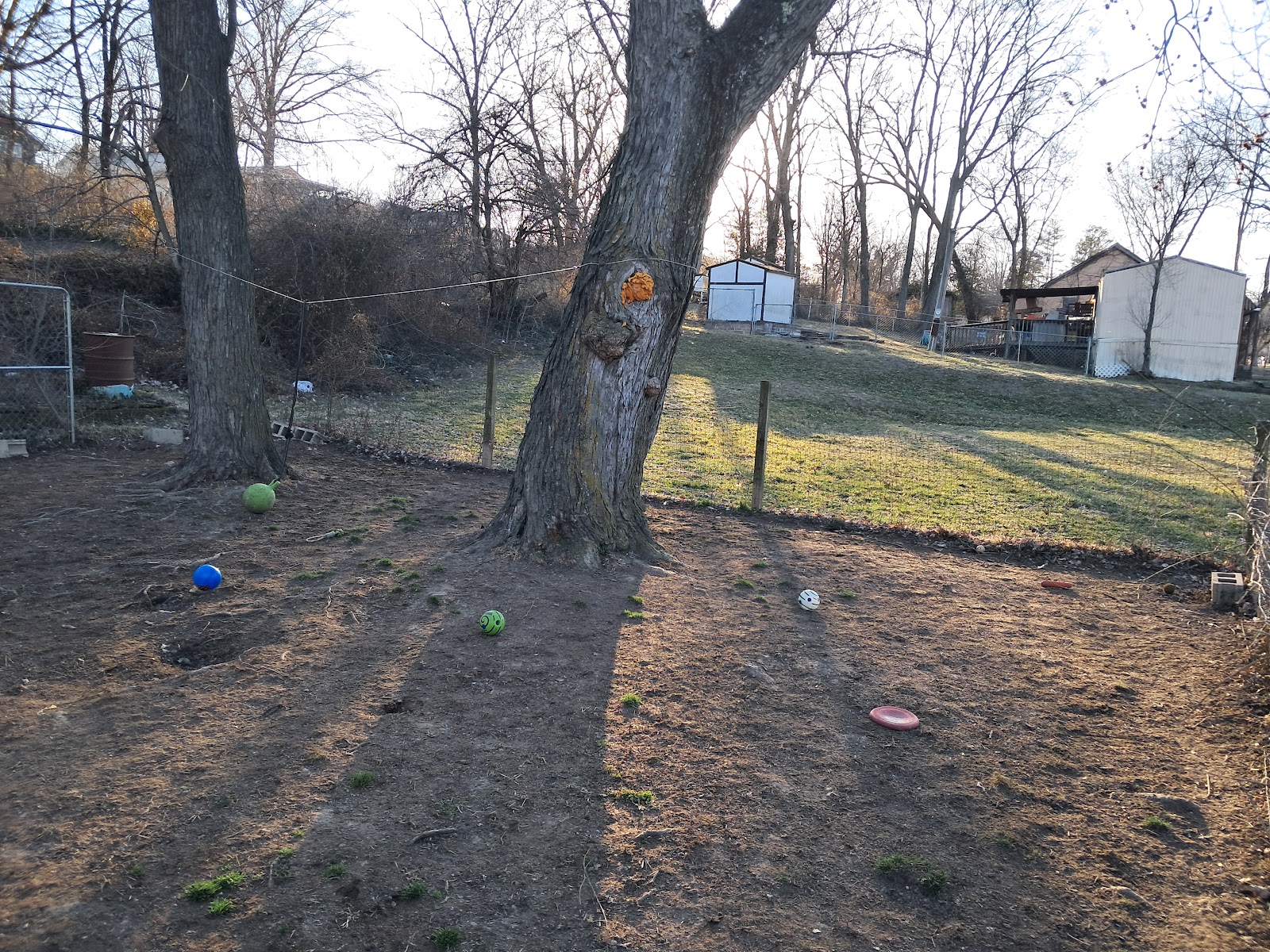 Swift Scoops (Pet Waste Removal) - Photo 2