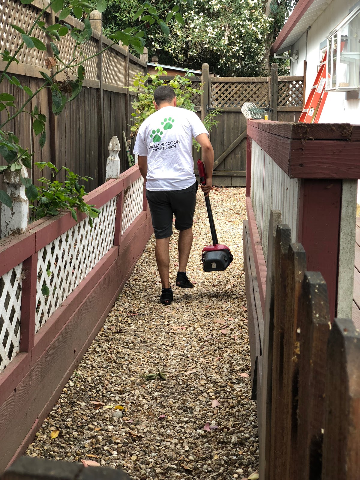 MR&MRS.SCOOPY - Photo 2