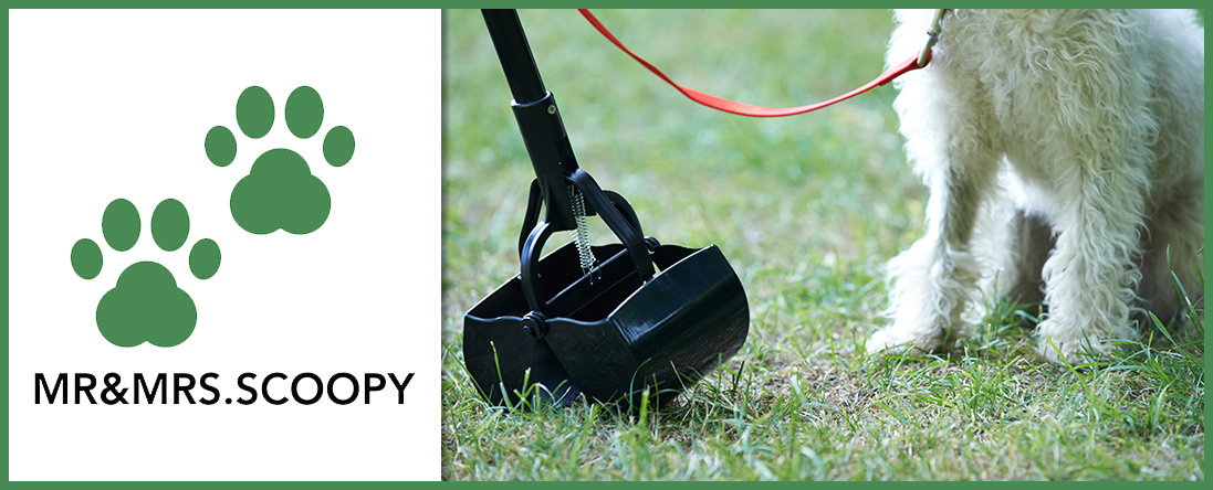 MR&MRS.SCOOPY - Photo 4