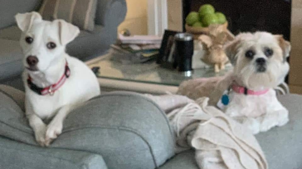 Pet Agree Waste Removal LLC