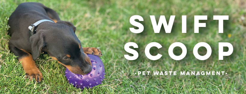 Swift Scoop - Photo 3