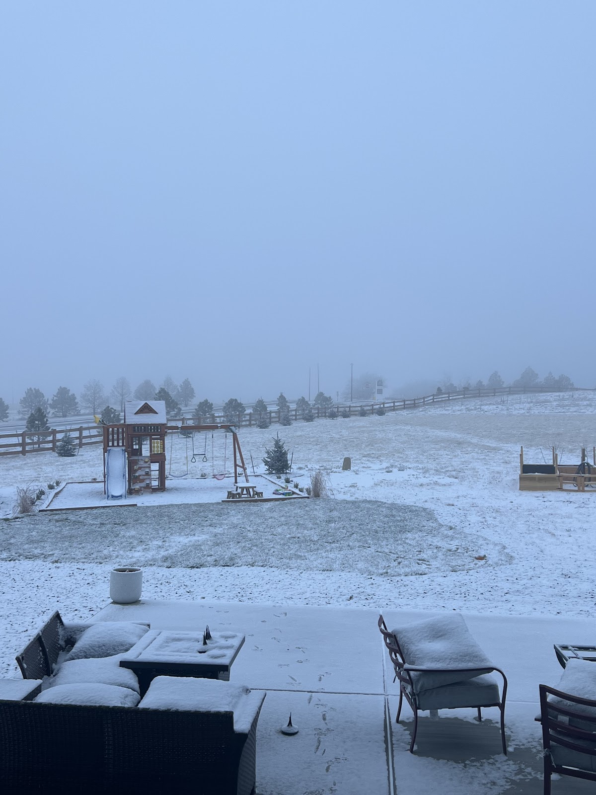 Backyard Bomb Squad Pet Waste Removal - Photo 4