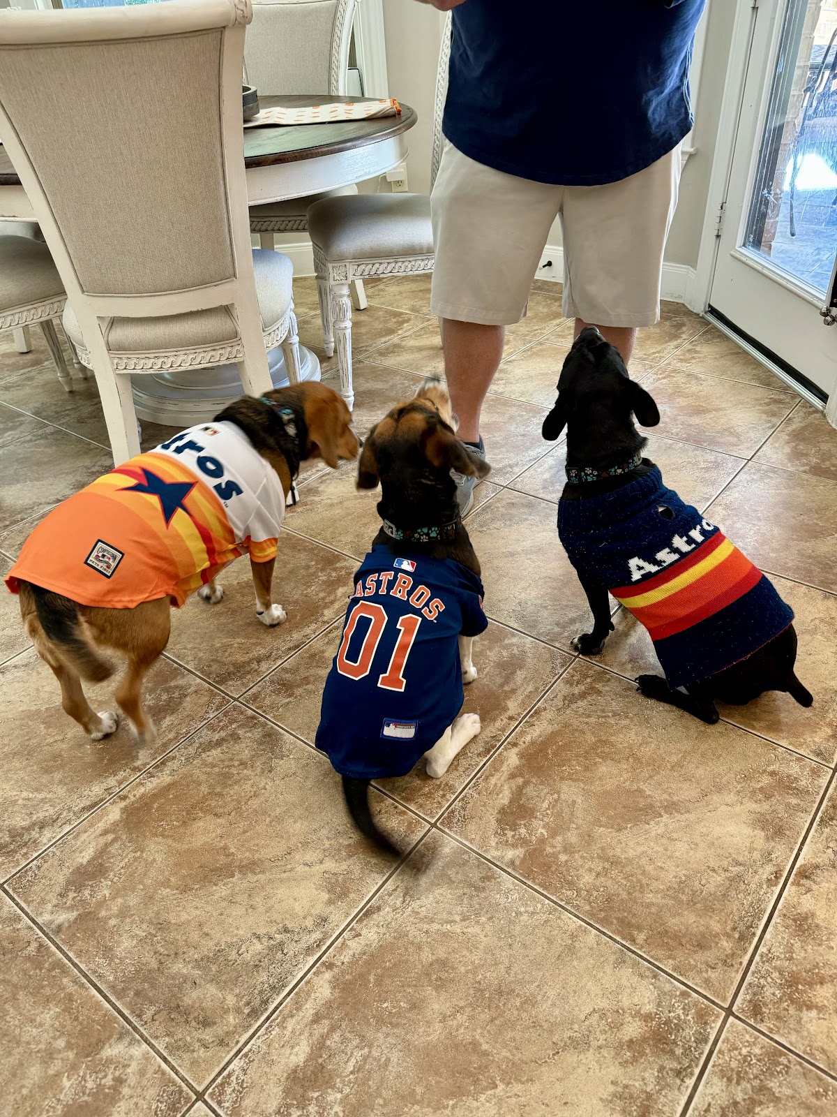 Tidy Doo Pet Waste Removal - Photo 3