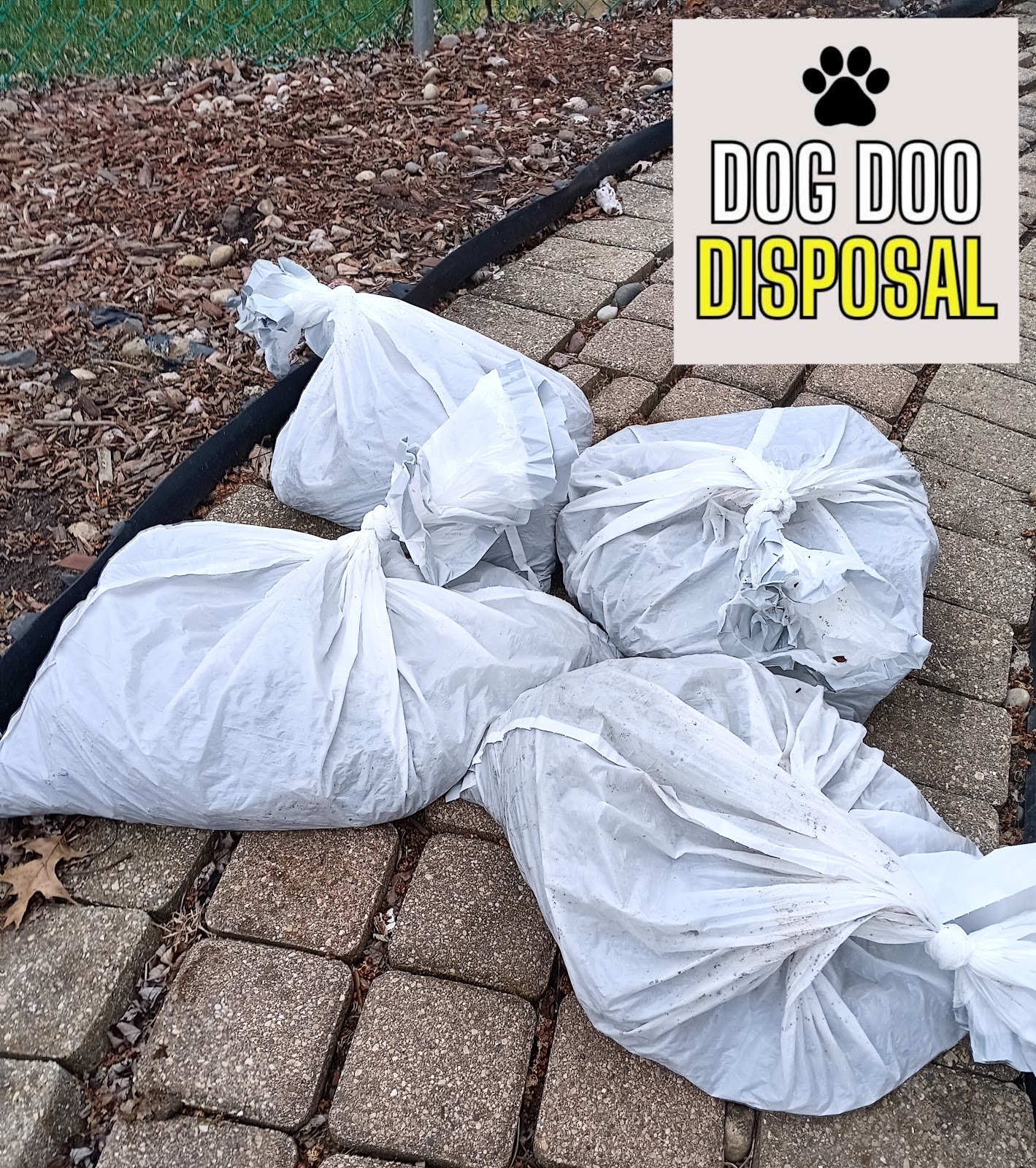 Dog Doo Disposal - Photo 3