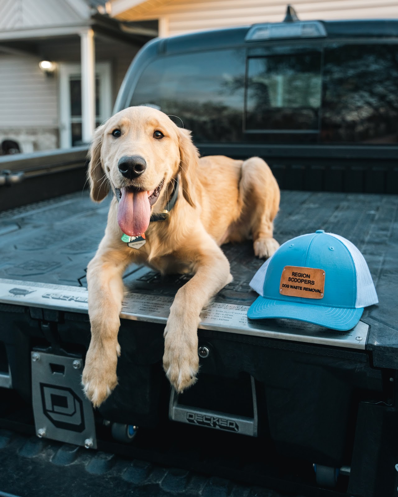 Region Scoopers Dog Waste Removal - Photo 4