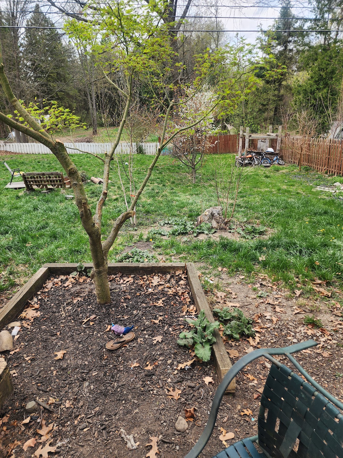 ScooperTroop365 - Photo 2