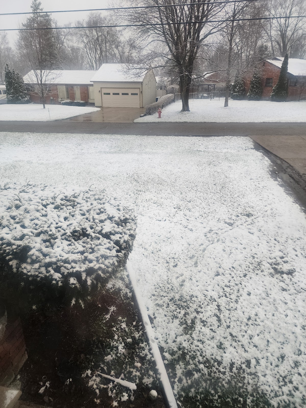 ScooperTroop365 - Photo 4