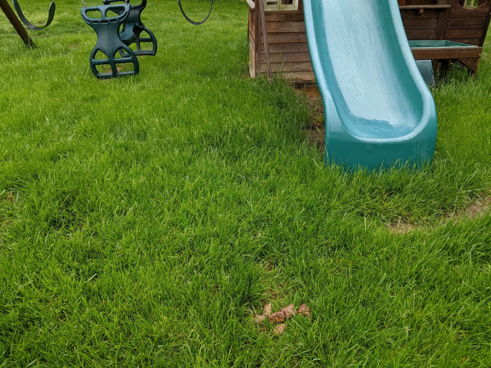 Dog Poop Pick Up Fort Wayne - Photo 4