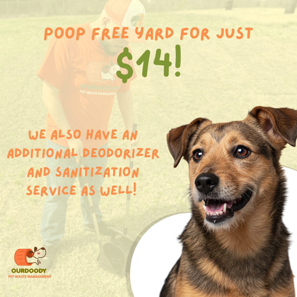 OurDoody | Pet Waste Management - Photo 3