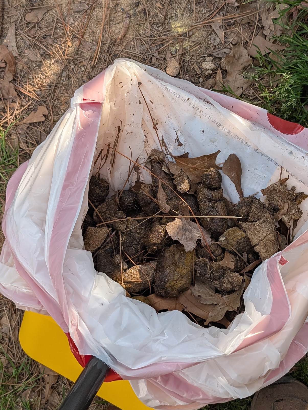 Poop Raiders - Photo 4