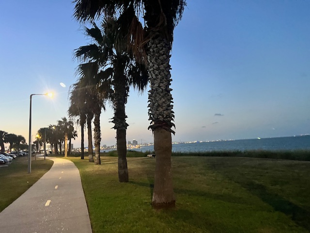 DoodyCalls of Corpus Christi - Photo 2