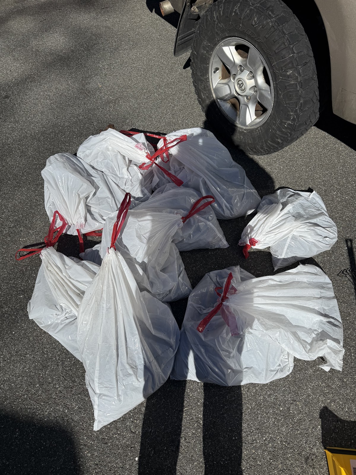 Scoop Scoop LLC - Photo 2