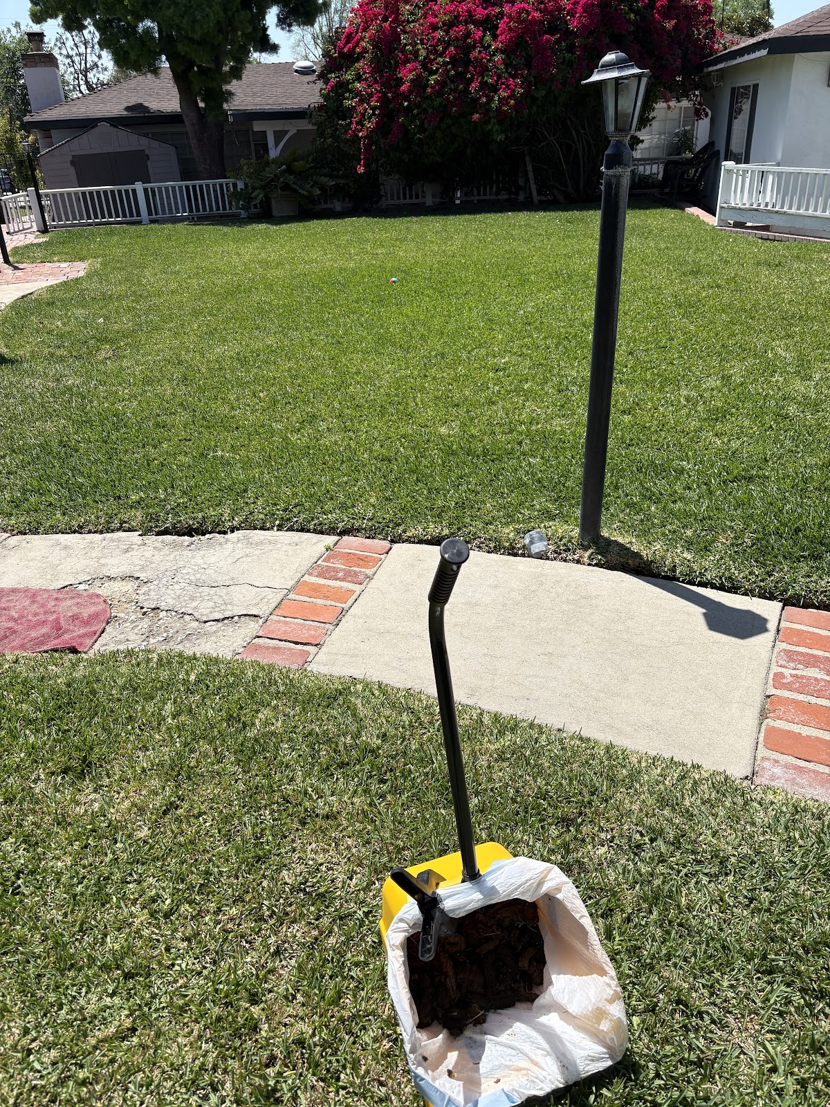 Oopsy scoop - Photo 3