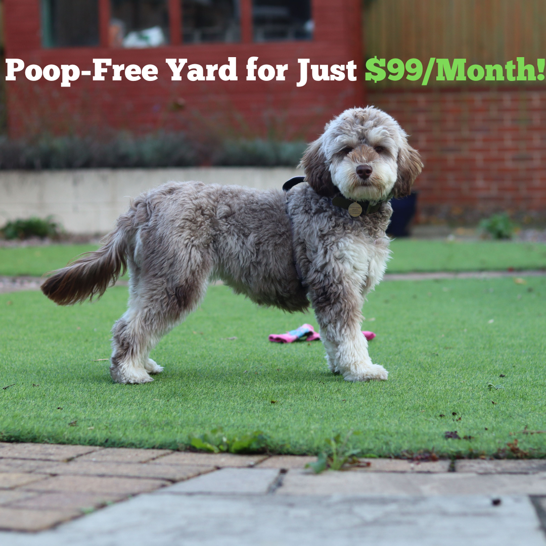 Oopsy scoop - Photo 4