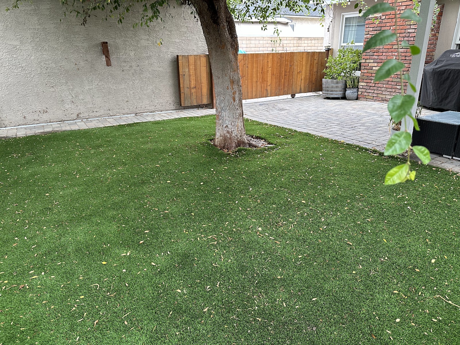 Fresh Yard Scoop - Photo 2
