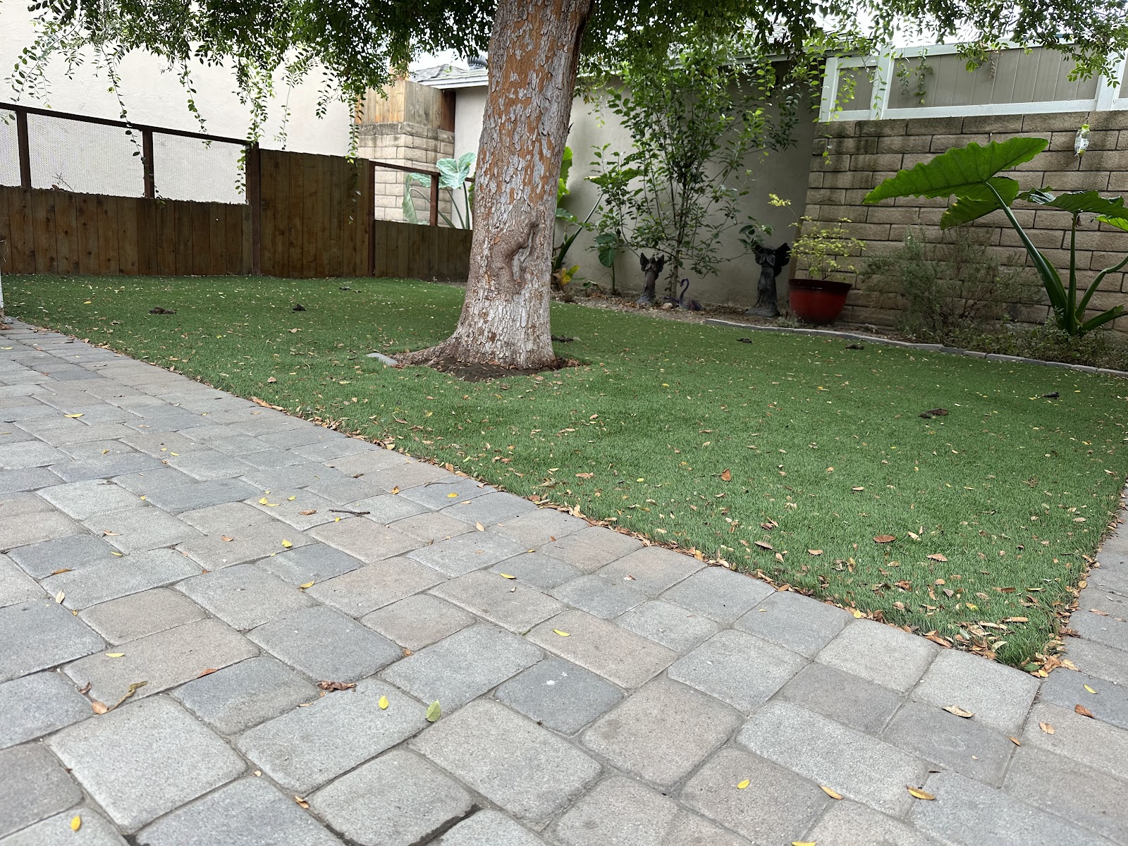 Fresh Yard Scoop - Photo 3