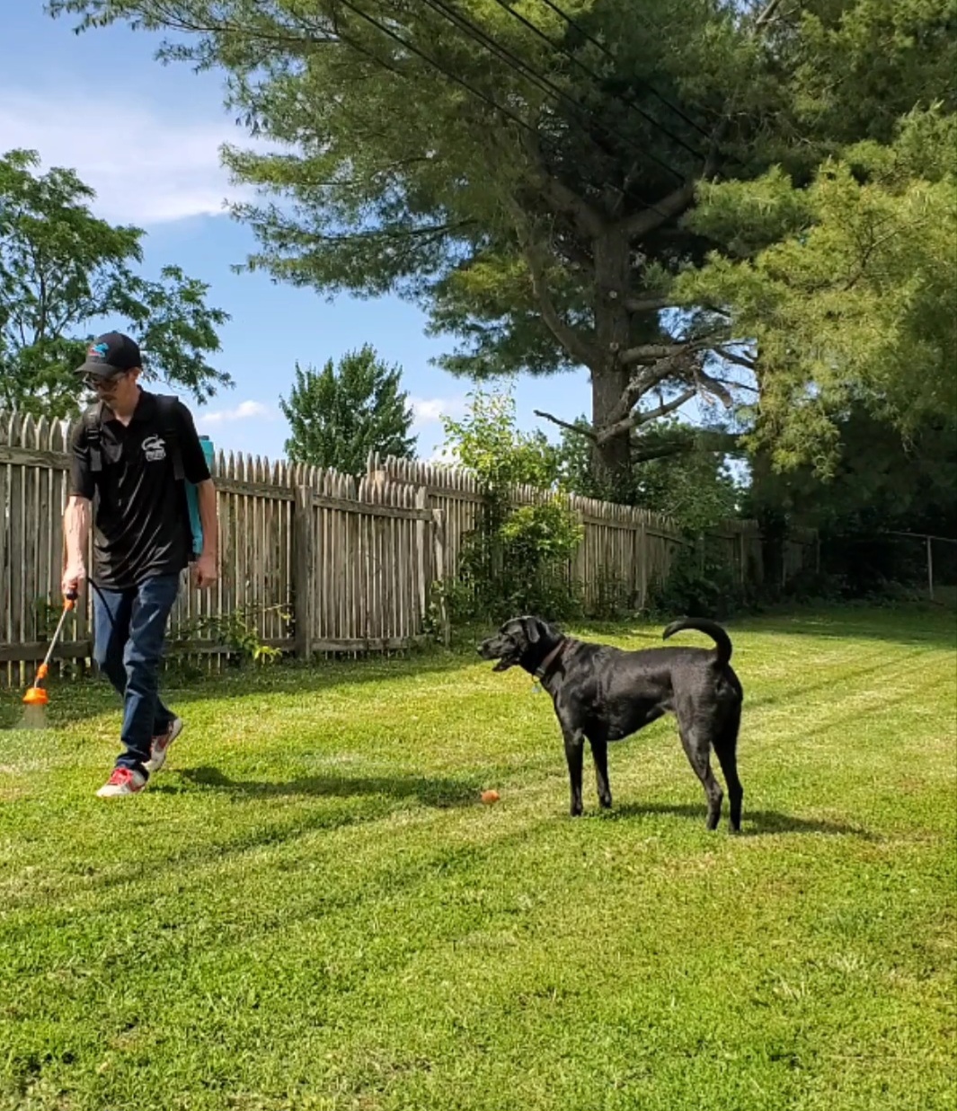 Freedom Scoopers LLC