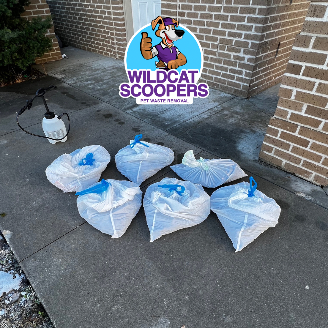 Wildcat Scoopers ( Pet Waste Removal ) - Photo 3