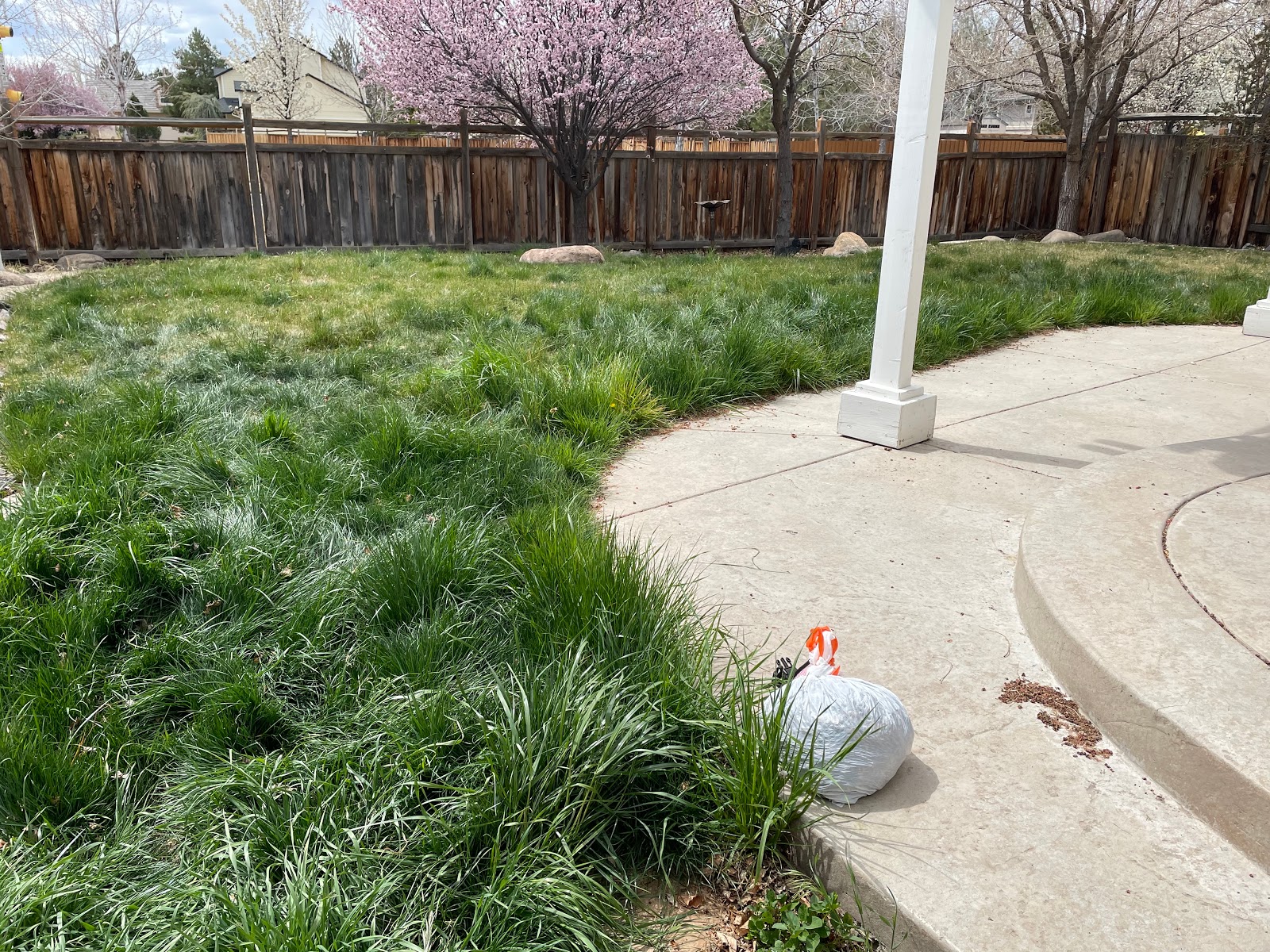 Yogi's Doody Scoopers