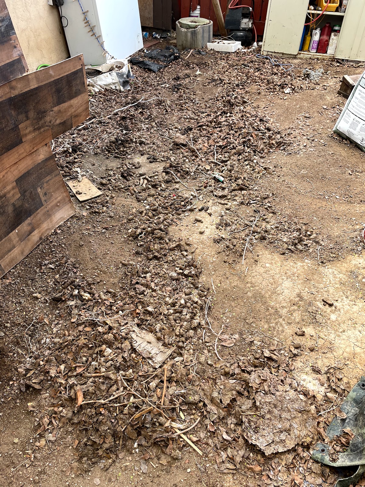 Yogi's Doody Scoopers - Photo 2