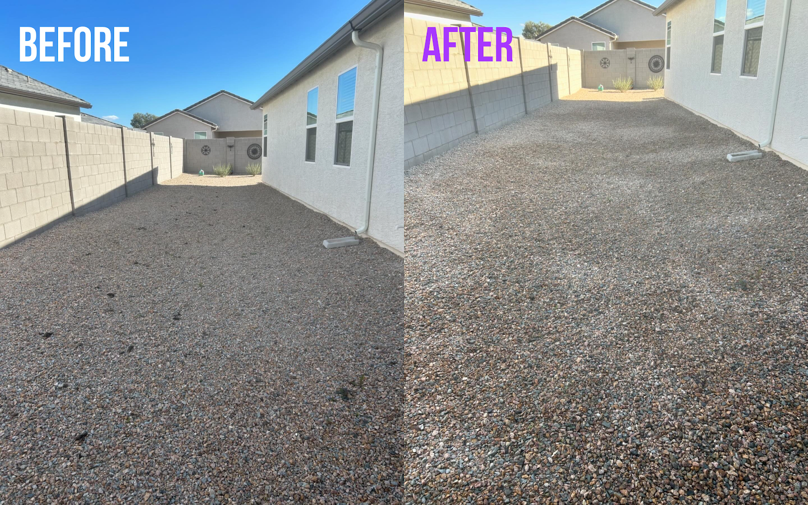 Ninja Dog Waste Removal