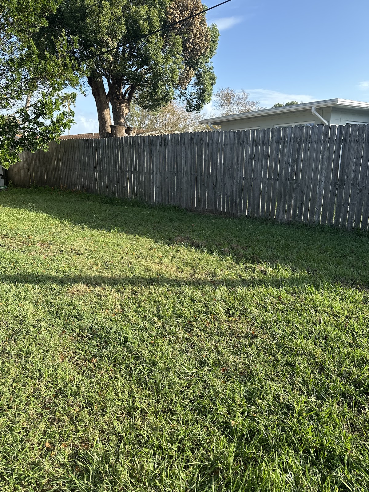 Scoopin' Doo - Photo 2