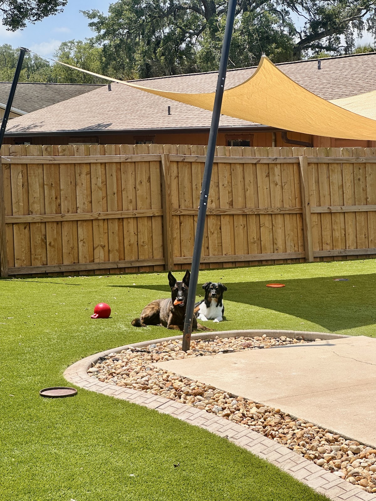 Scoopin' Doo - Photo 3