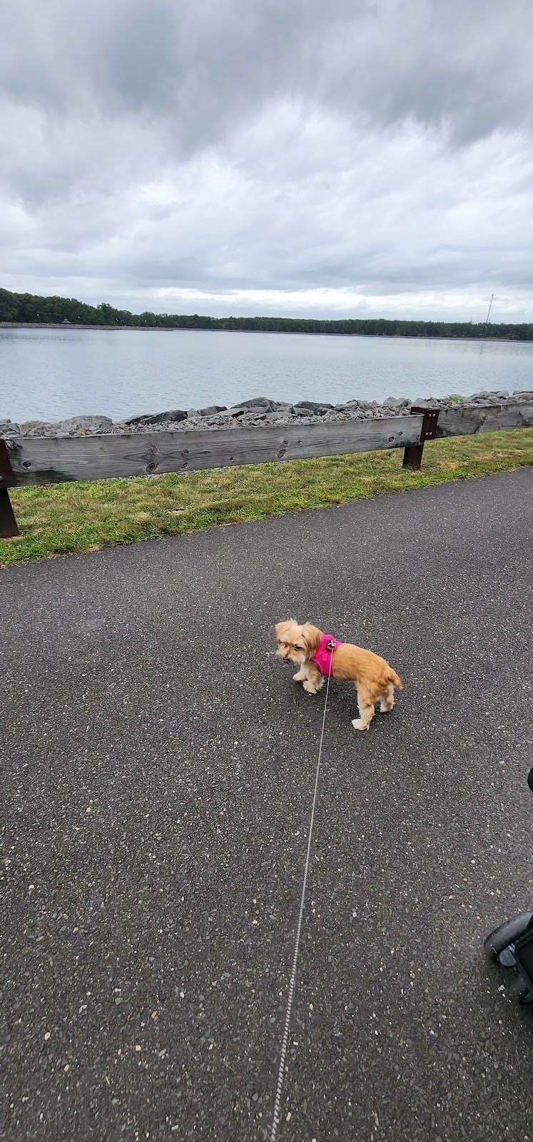 Top - Tier Pet Service, LLC - Photo 3