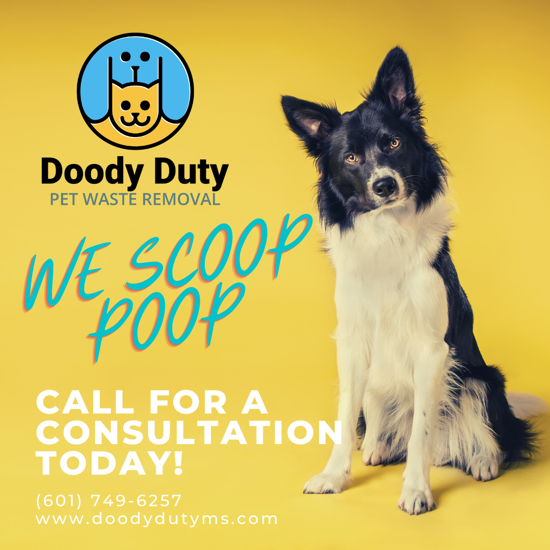 Doody Duty LLC