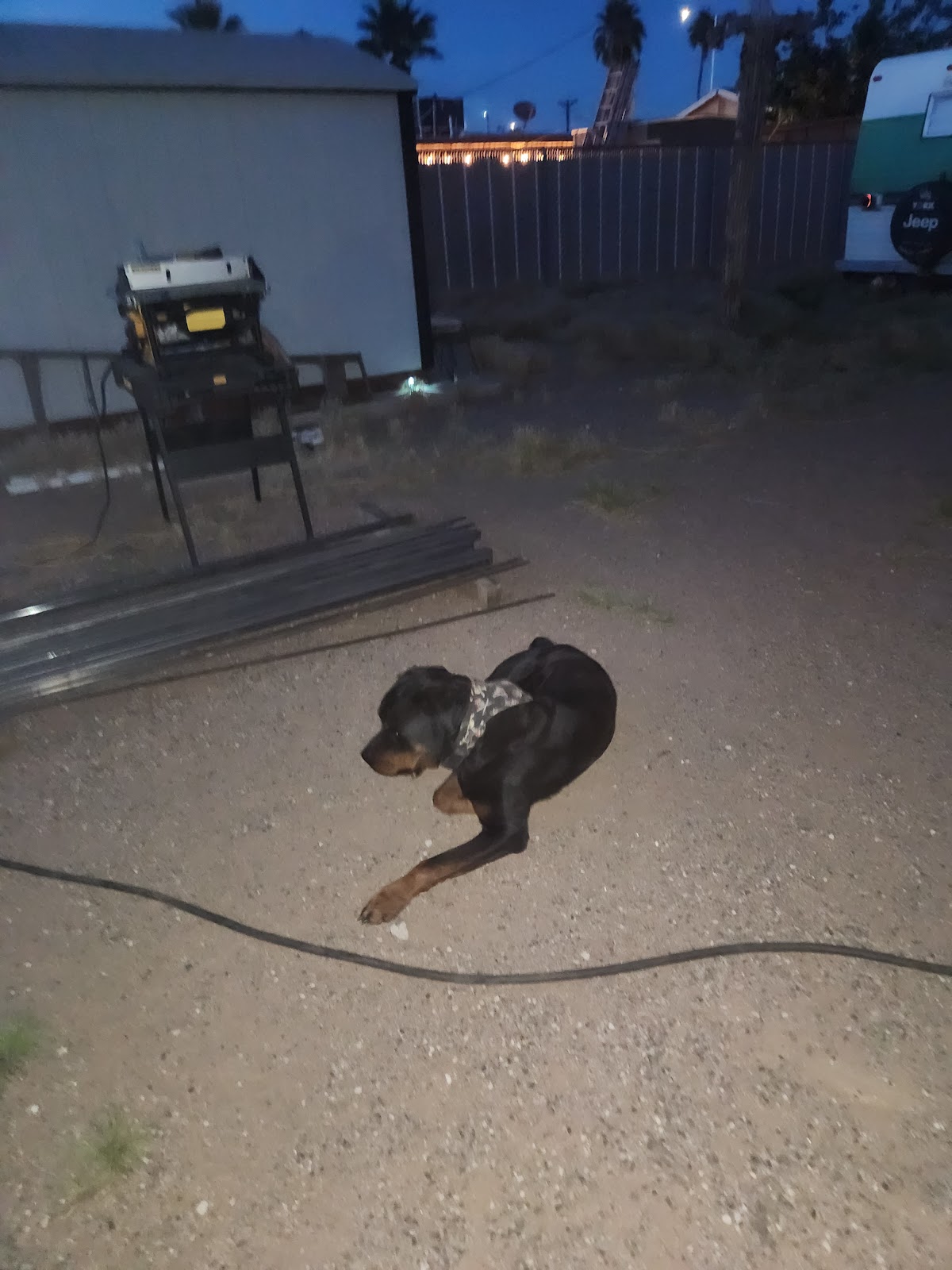 Scoop Hero Mesa - Photo 4