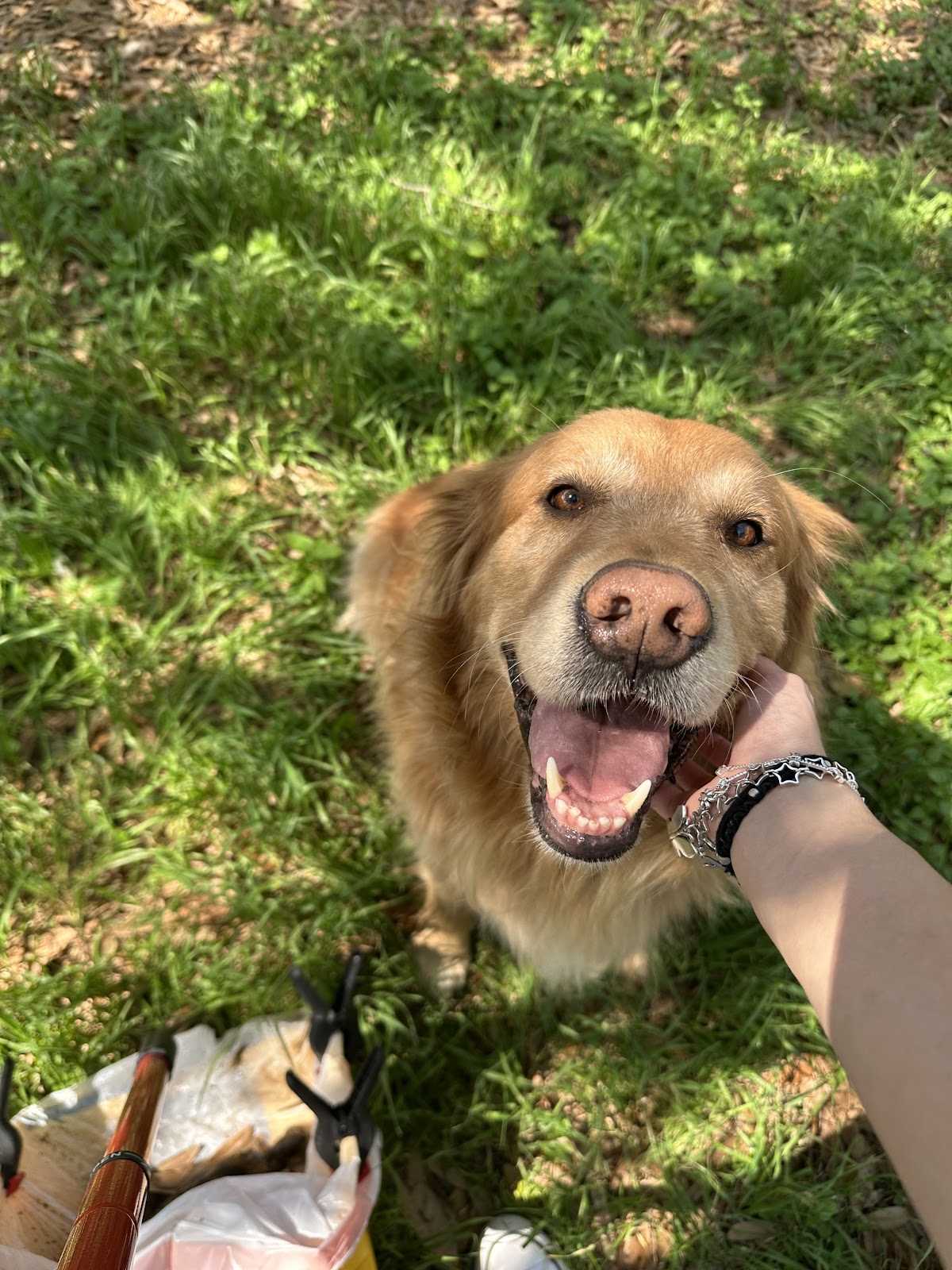 Poop Police, LLC - Photo 3