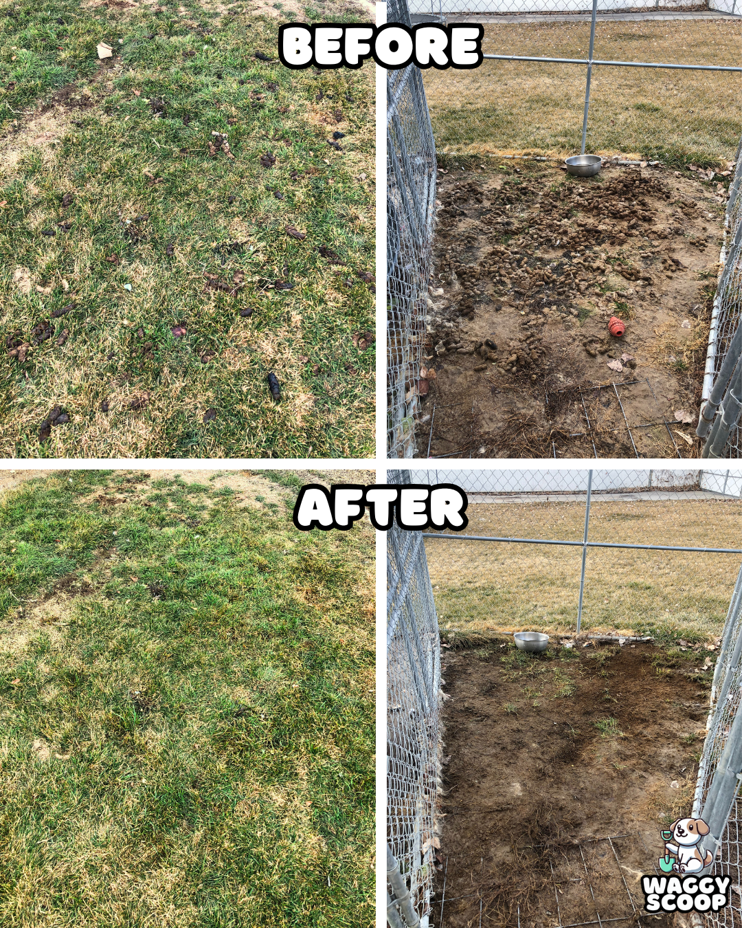 Waggy Scoop Dog Poop Removal - Photo 3